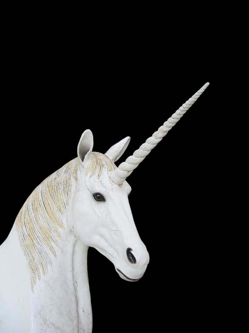Unicorn Bark